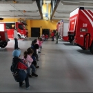 Seilziehwettbewerb -