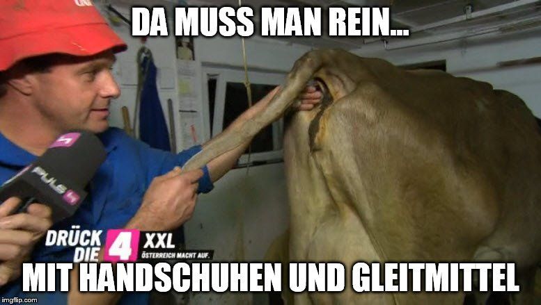 meme3.jpg