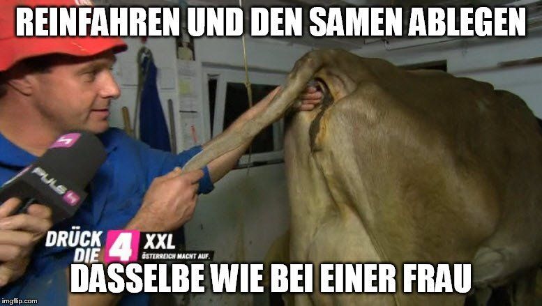 meme4.jpg