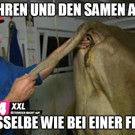 meme4.jpg