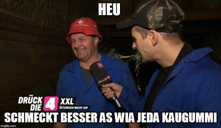 meme8.jpg