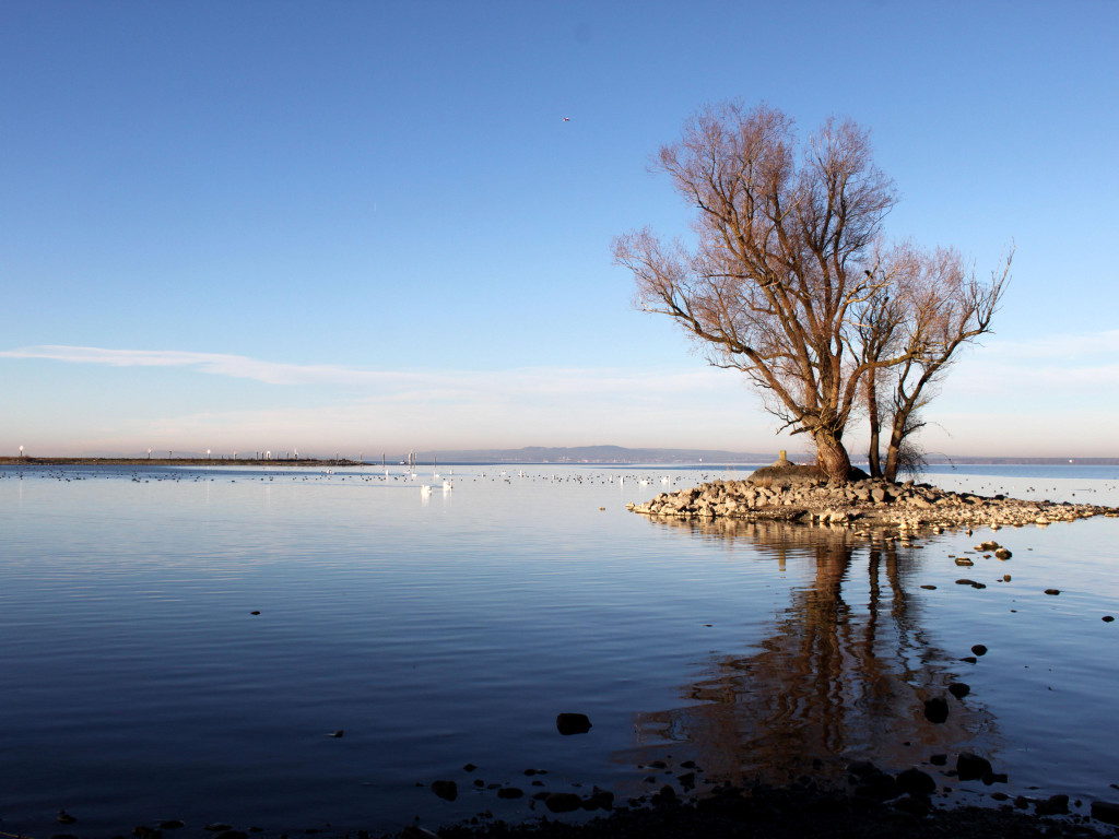 Rohrspitz -  Werner Schneider.JPG