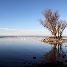 Rohrspitz -  Werner Schneider.JPG