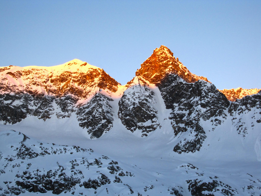 Schneeglocke_Gro__e Schattenspitze - Johannes Grissmann.JPG