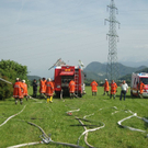 normal_110610gro_DFbrandgr_F6digeichetbg_039.jpg