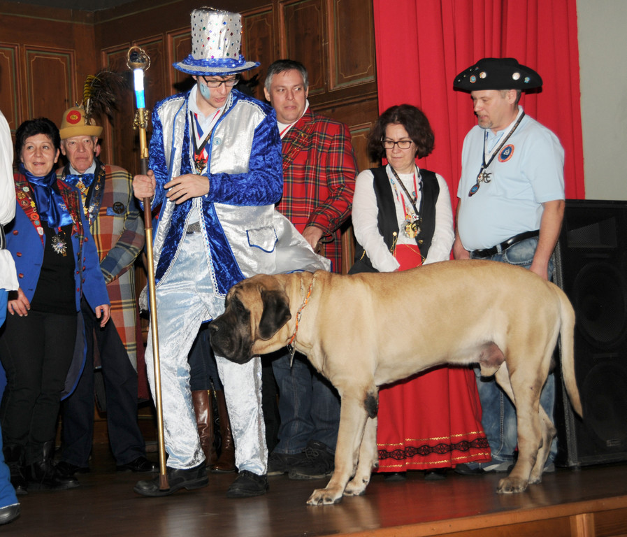 Gumpiger Bregenz 04-02-2016 218.jpg