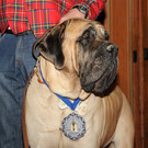 Gumpiger Bregenz 04-02-2016 230.jpg