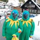 DSC_0011_JPG-1454776481.jpg