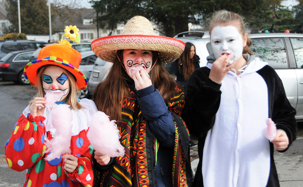Fasching Fu__ach 2016 20.jpg