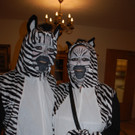 DSC_0037_JPG-1454829354.jpg