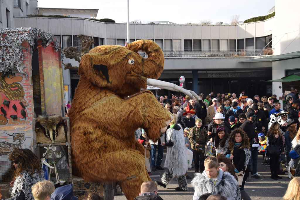 DSC_0800.JPG