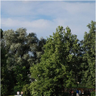 20100609_cupfinale_030_luc.JPG