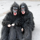 029-IMG_8352.JPG