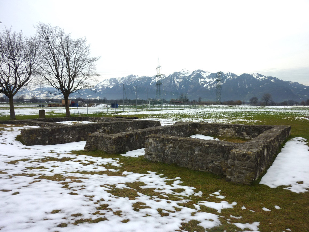 P1040049-1.jpg