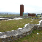 P1040048-1.jpg