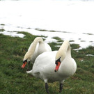 IMG_4086-1.jpg