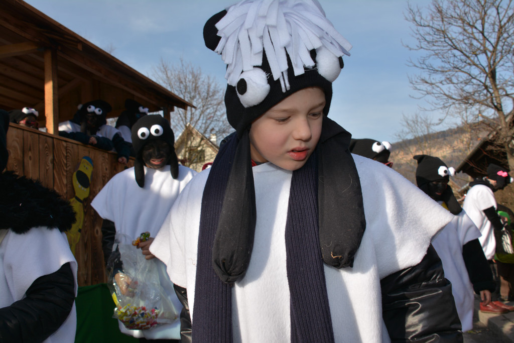 shaun-1.jpg