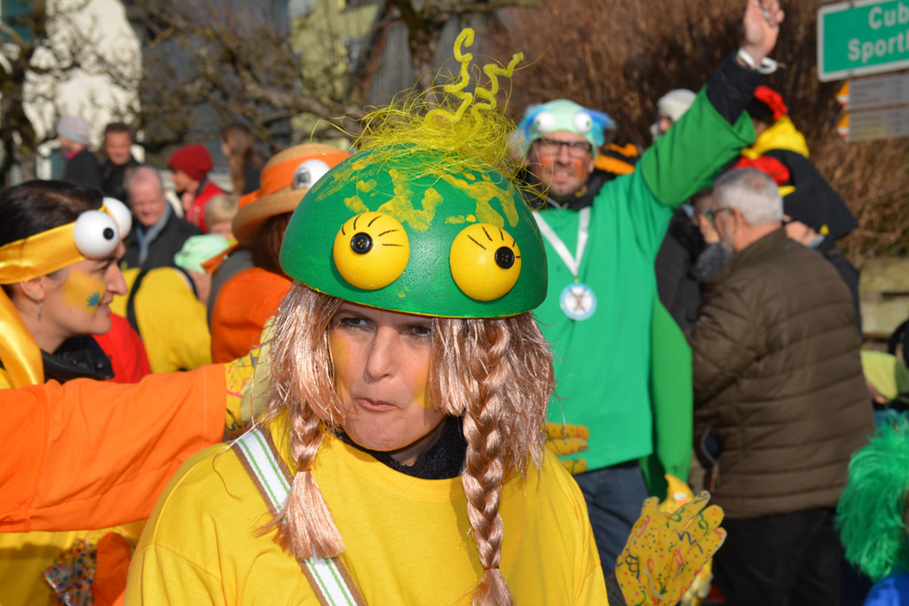 Wolfurt Umzug-36.jpg