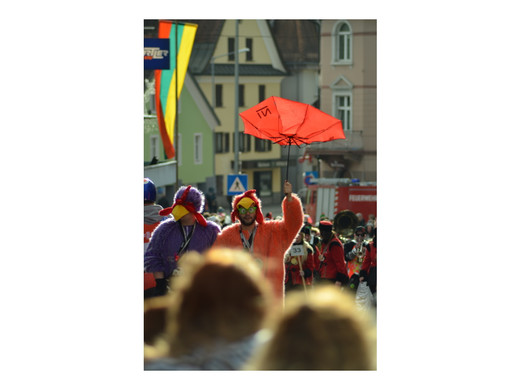 Umzug Bludenz-58.jpg