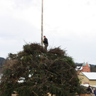 Lochau B Funken in Hofen 2015 _3_.JPG