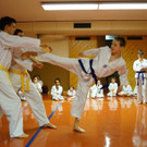 TKD_Montafon_Pr__fung14.jpg