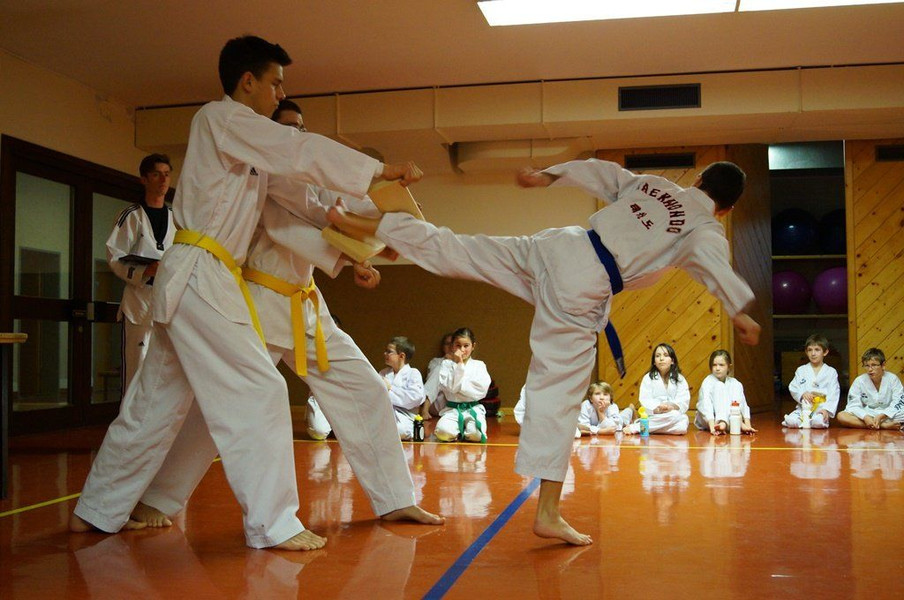 TKD_Montafon_Pr__fung15.jpg