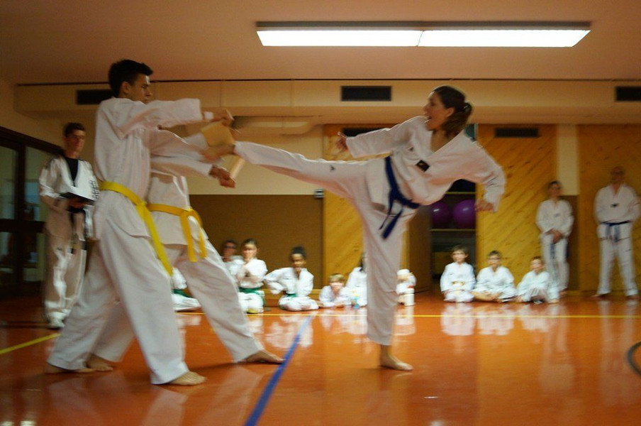 TKD_Montafon_Pr__fung18.jpg