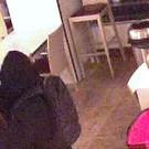 08_02_2016 - PI Perchtoldsdorf_ Foto 3.jpg