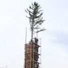 IMG_9563.jpg