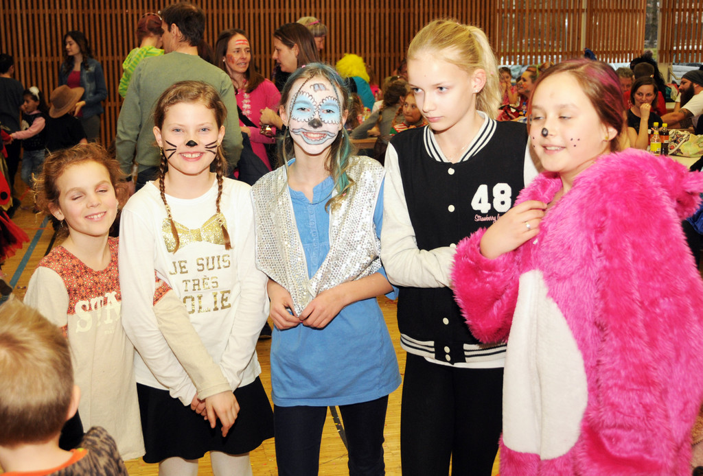 Kinderfasching Ho__chst 2016 78.jpg