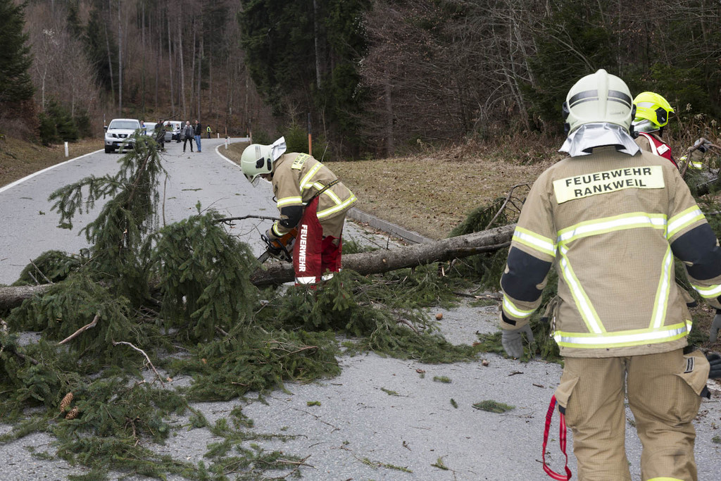 FW Rweil Baum Stra__e 02.jpg