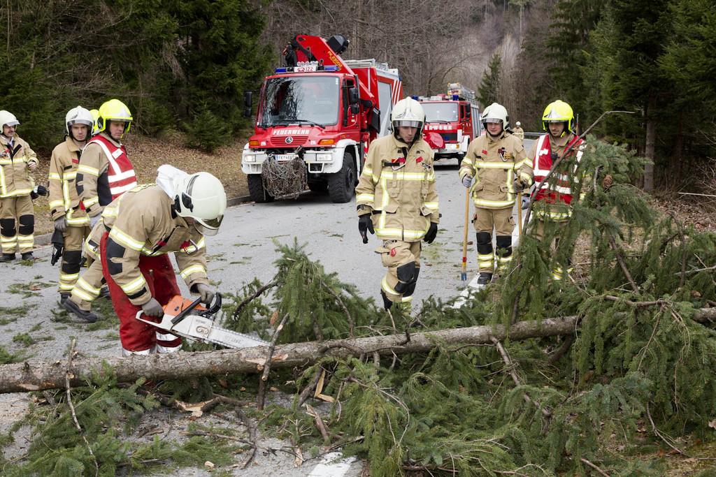 FW Rweil Baum Stra__e 07.jpg