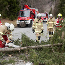 FW Rweil Baum Stra__e 07.jpg