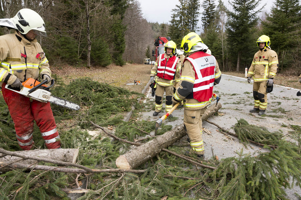 FW Rweil Baum Stra__e 09.jpg