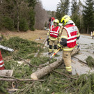 FW Rweil Baum Stra__e 09.jpg