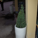 normal_12062010hellbrunntaaktivnews_12.jpg