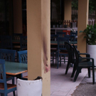 normal_12062010hellbrunntaaktivnews_19.jpg
