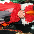 IMG_5244_JPG-1455104356.jpg