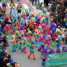 IMG_5135_JPG-1455107316.jpg
