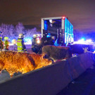 11022016_Toedl Lkw Unfall_A4 Fischamend _17_.jpg