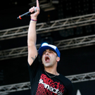 zebrahead -  nova rock 2010 - burgenland - florian wieser _27_.jpg