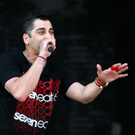 zebrahead -  nova rock 2010 - burgenland - florian wieser _31_.jpg