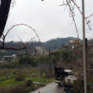 AFP_7C9Z2.jpg