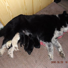 DSCF1238.JPG