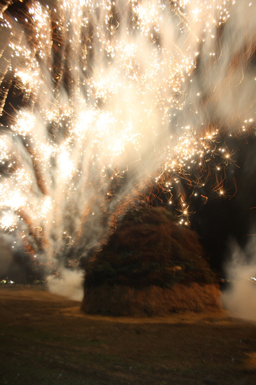 Funken B__umle B FEUERWERK 13-02-2016 _1_.JPG