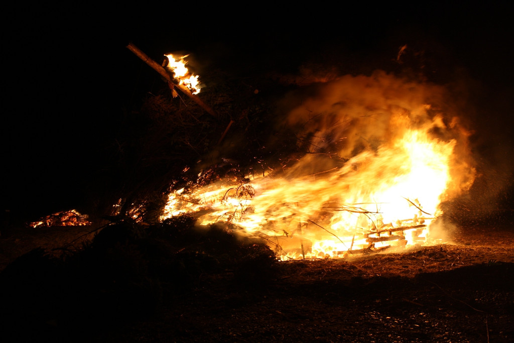 Funken B__umle C ABBRENNEN 13-02-2016 _8_.JPG