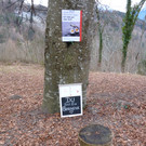 stunde des kreuzes 2016 _2_.JPG