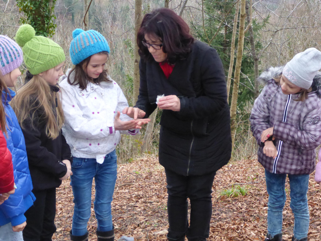 stunde des kreuzes 2016 _9_.JPG