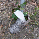 stunde des kreuzes 2016 _46_.JPG