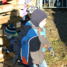 IMG_5334_JPG-1455448261.jpg